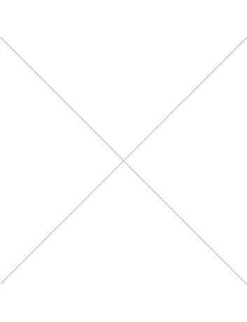 Brown bear - Vector graphics