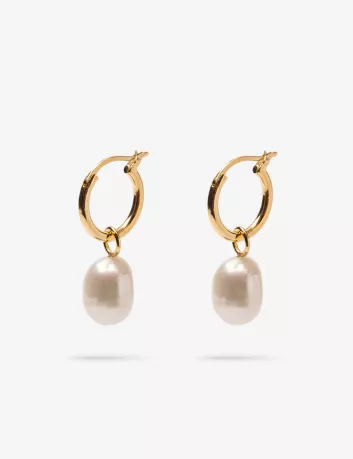 copy of Asterales Pearl Drop Gold Earrings