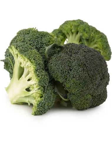 Hummingbird printed eco broccoli