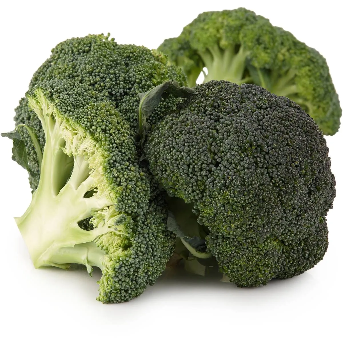 Hummingbird printed eco broccoli