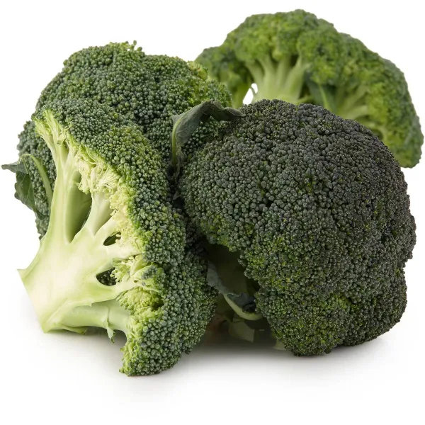 Hummingbird printed eco broccoli