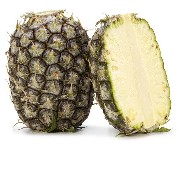 Mug The adventure begins with pineapple