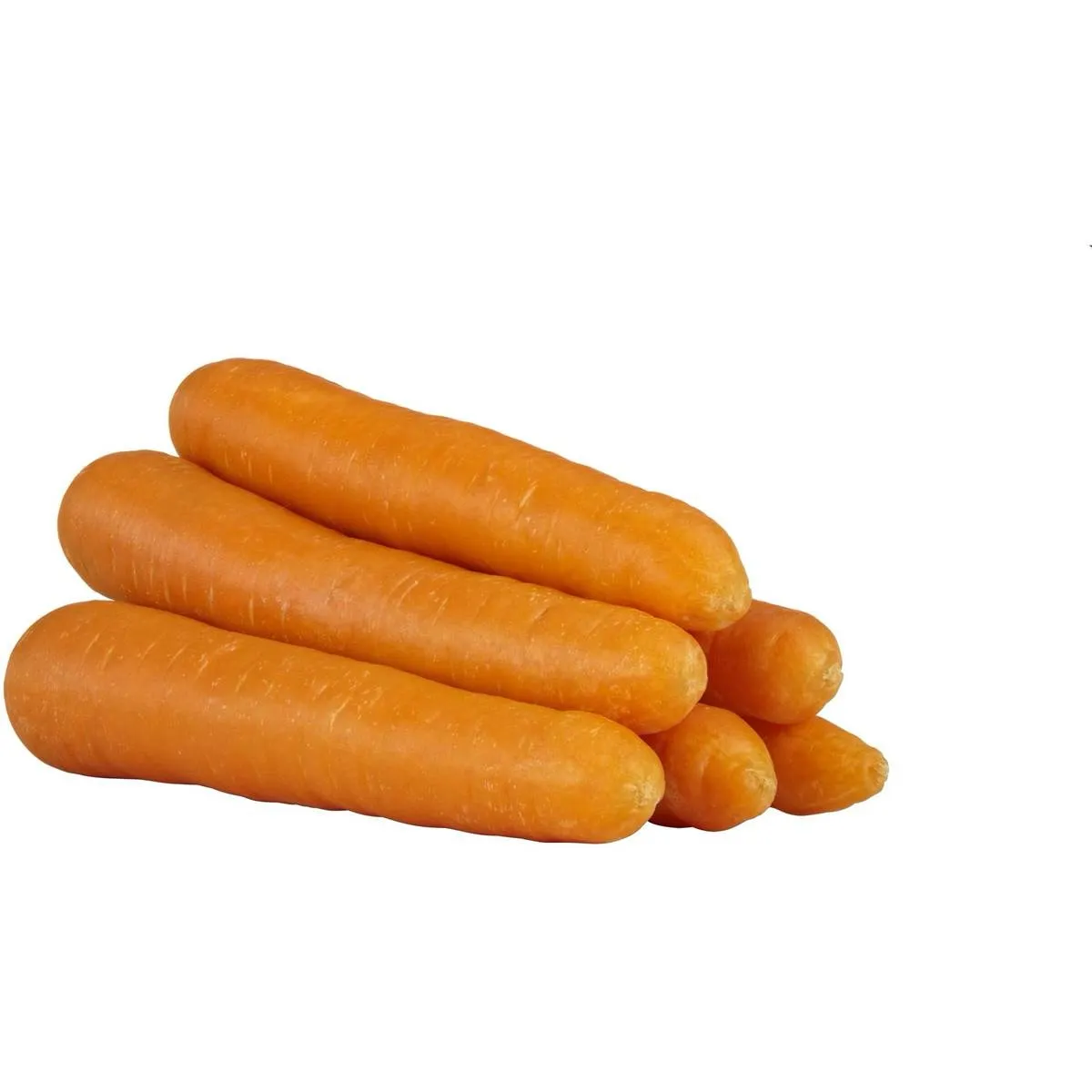 Mug Today is a good day to eat carrot